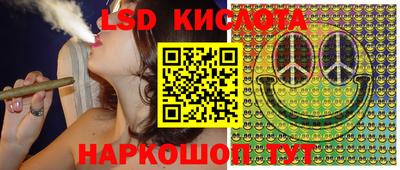 mdpv Кингисепп