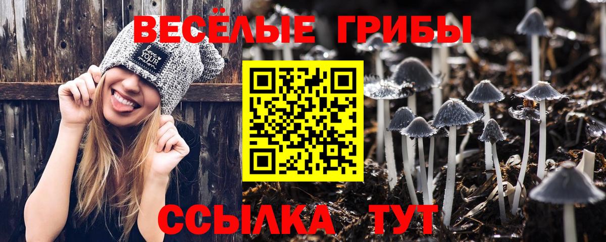 Бирск  наркошоп  Вход с VPN  Галлюциногенные грибы ЛСД 